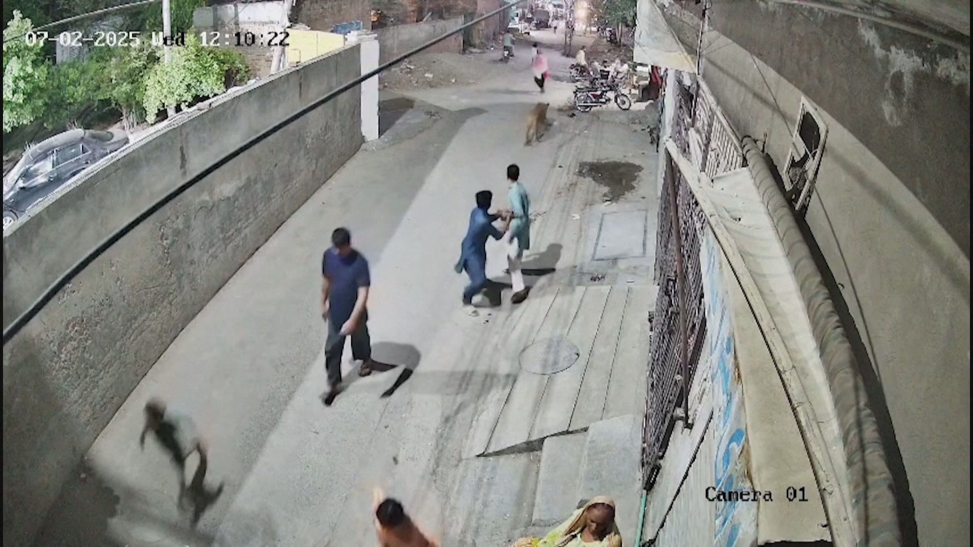 Vídeo: Leão pula muro e persegue pessoas no Paquistão Vídeo: Leão pula muro e persegue pessoas no Paquistão