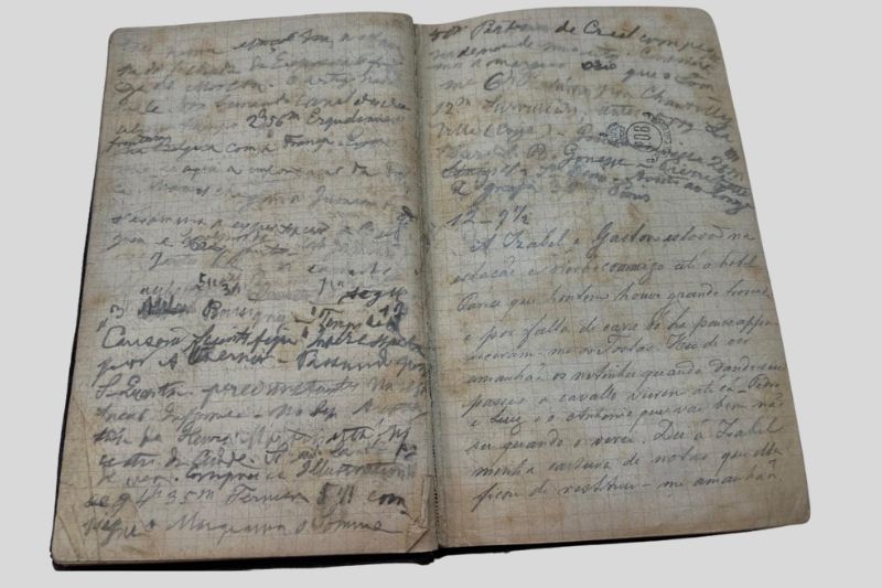 Cadernos de viagem de D. Pedro II passam por restauração no Museu Imperial Cadernos de viagem de D. Pedro II passam por restauração no Museu Imperial