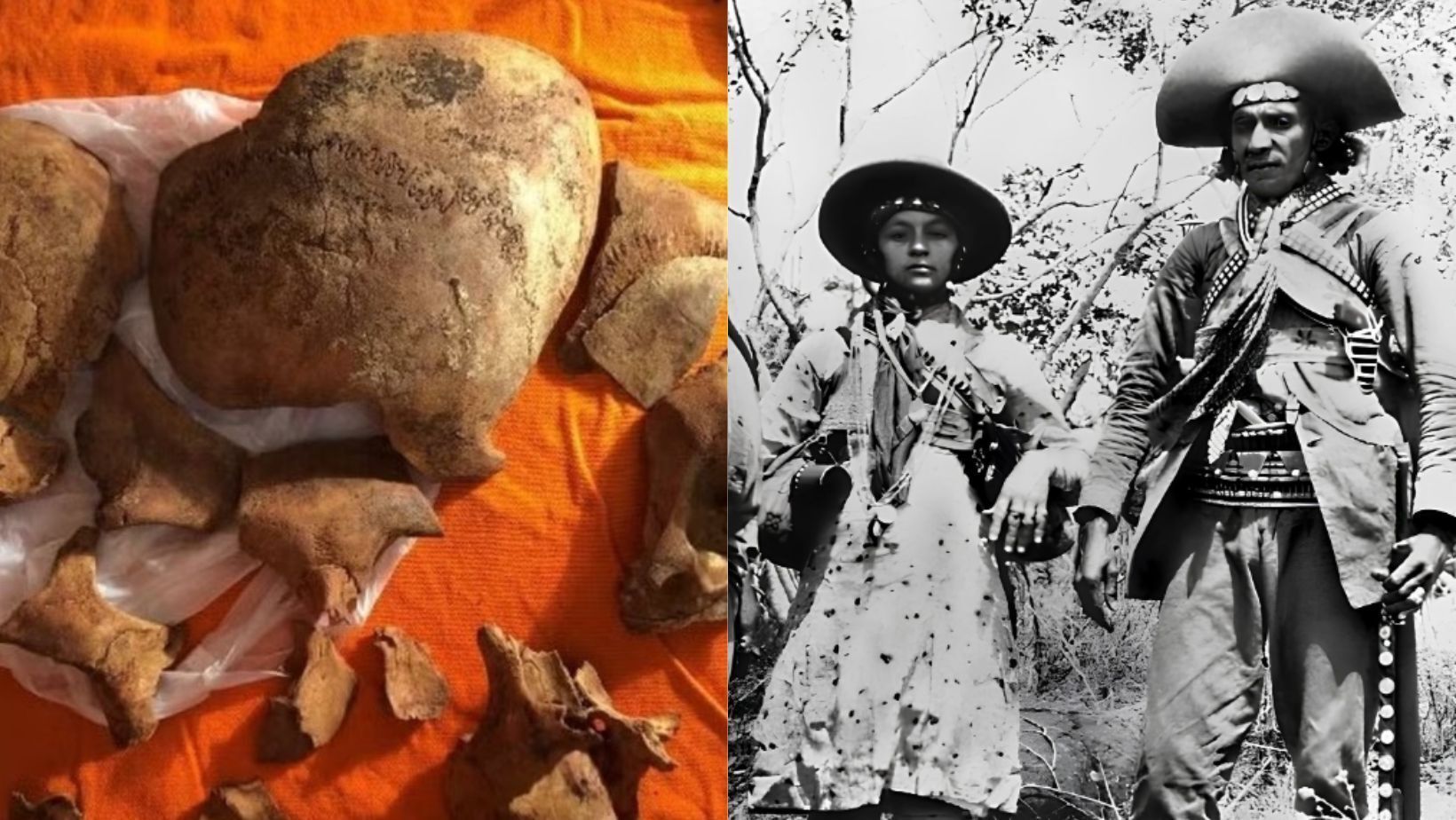 Crânios de Lampião e Maria Bonita seguem conservados em museu: entenda como Crânios de Lampião e Maria Bonita seguem conservados em museu: entenda como