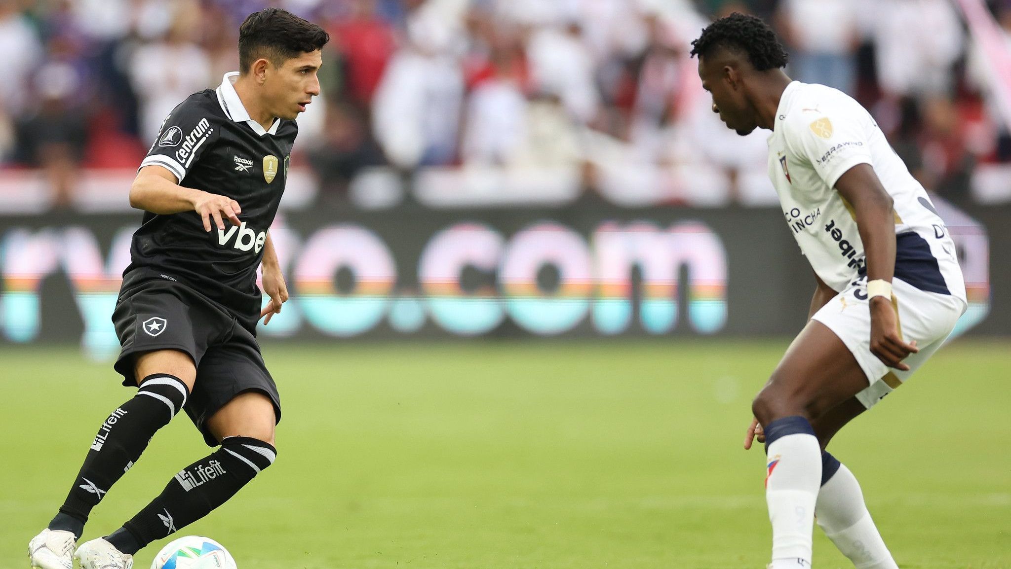 LDU provoca Botafogo após eliminar clube brasileiro na Libertadores LDU provoca Botafogo após eliminar clube brasileiro na Libertadores