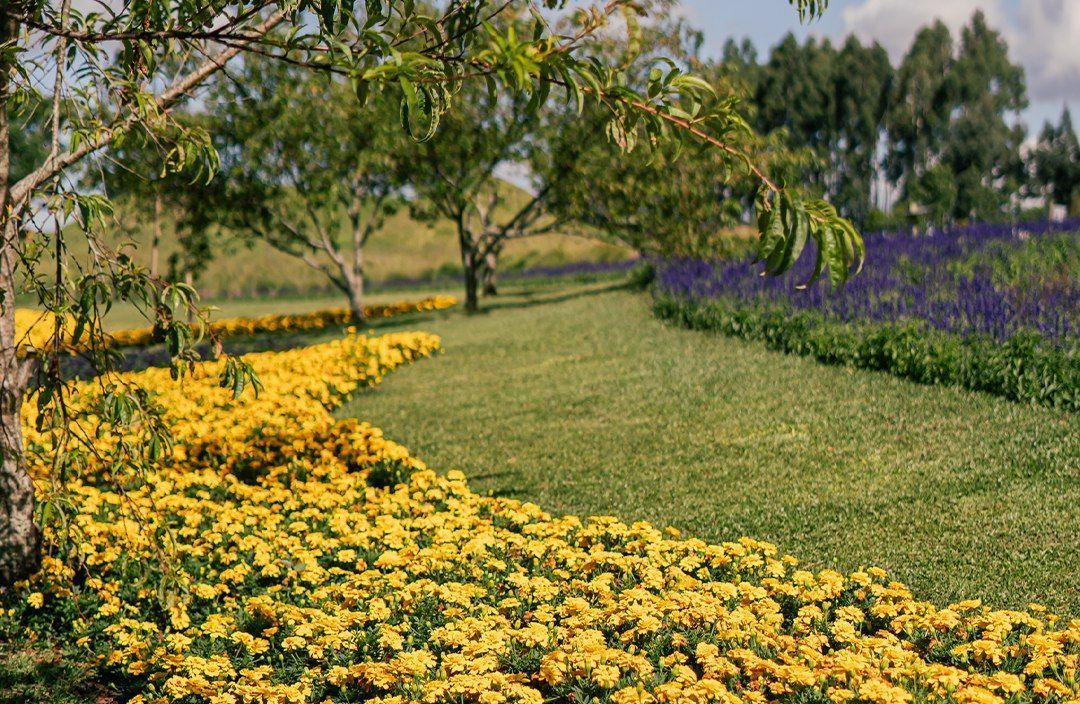 Inverno com recorde de frio se despede para chegada da primavera Inverno com recorde de frio se despede para chegada da primavera