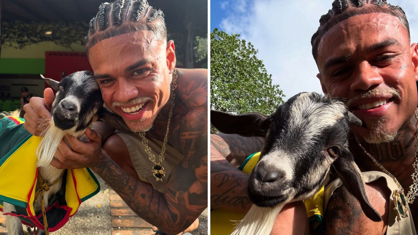 MC Cabelinho adota bode e mostra animal usando roupinha colorida
