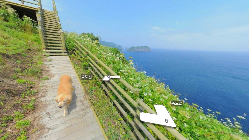 Golden viraliza após seguir fotógrafo e aparecer em fotos do Google Stret Golden viraliza após seguir fotógrafo e aparecer em fotos do Google Stret