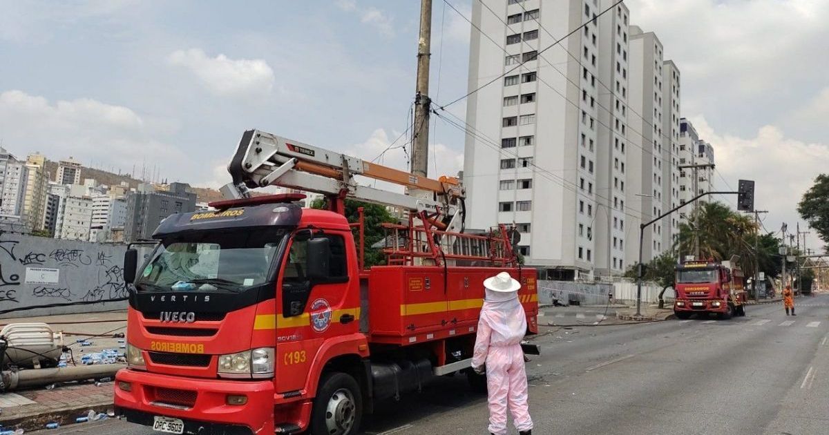 Idosas sofrem acidente de carro e são atacadas por abelhas em MG