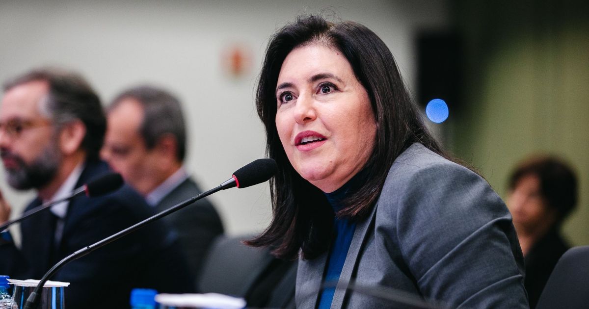 Tebet: US$ 1 bilhão será destinado para cidades na região amazônica