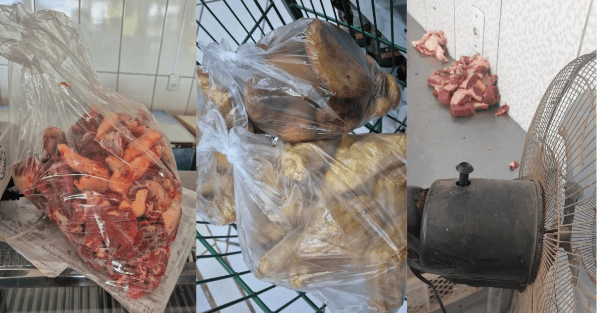 Carne vencida há três anos é apreendida em freezer de supermercado do RS Carne vencida há três anos é apreendida em freezer de supermercado do RS