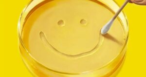 “Pluribus”: tudo o que você precisa saber sobre a série