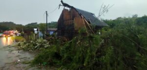 Em SC, ciclone causa destelhamentos e queda de árvores