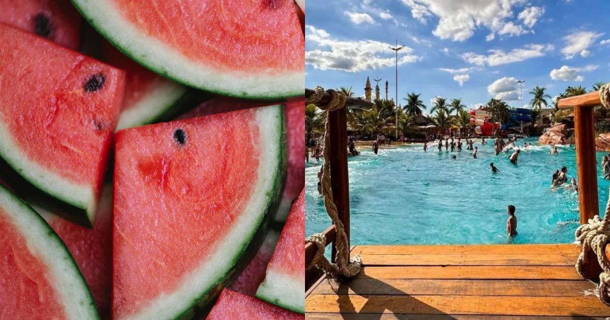 Prêmio em torneio de comer melancia que terminou em morte era batata frita Prêmio em torneio de comer melancia que terminou em morte era batata frita