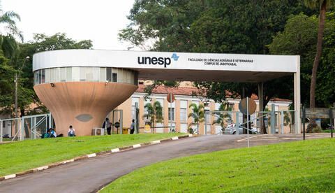 Unesp divulga resultado preliminar das Olimpíadas Científicas