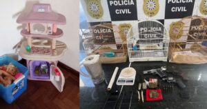 Polícia prende casal que escondia maconha em casa de boneca da filha no RS
