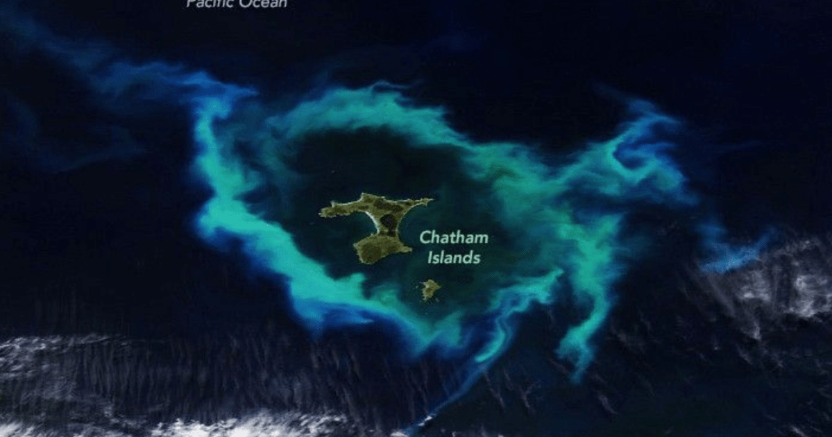 Satélite mostra ilha cercada no oceano por anel verde brilhante; entenda