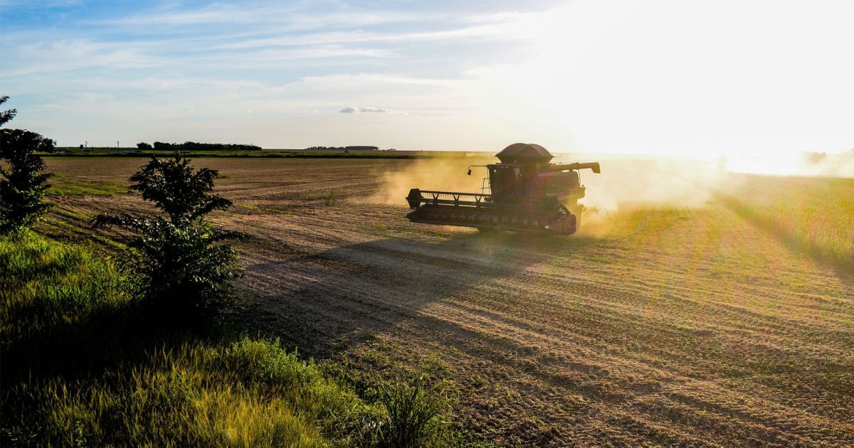 Baldan deve crescer 12%, mesmo com juro alto em 2026