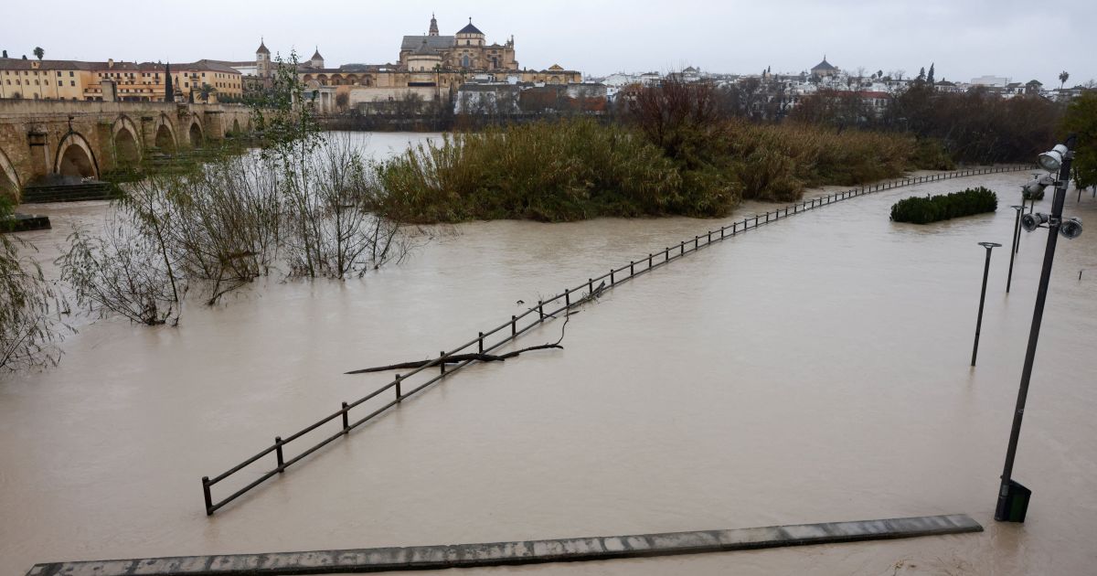 Agricultores da Espanha relatam danos de milhões de euros após tempestades