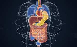 Cientistas desenvolvem exame que revela corpo humano em 3D e cores