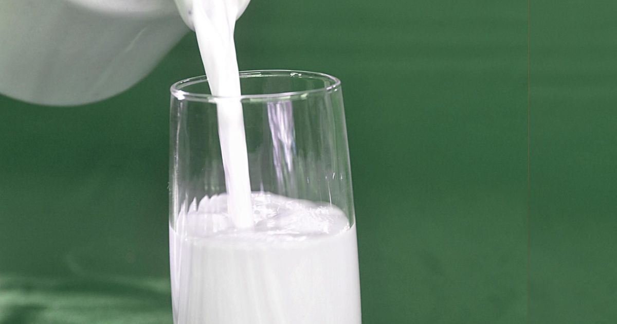 Lácteos devem registrar crescimento moderado em 2026