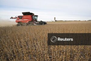 Soja tem melhor cotação em três meses, com apoio da demanda