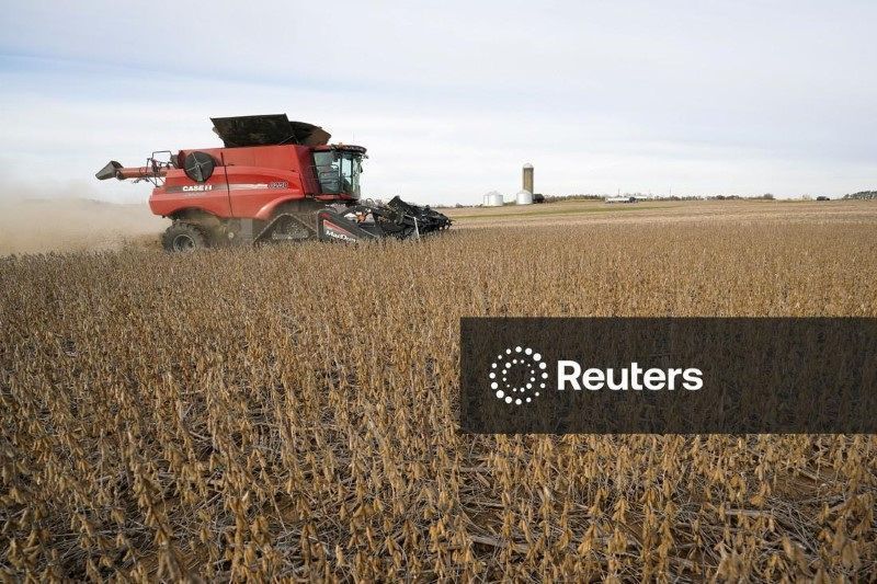 Soja tem melhor cotação em três meses, com apoio da demanda