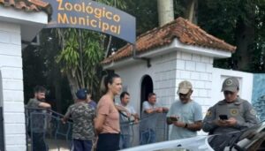 Homem é preso após invadir zoológico e matar veado no Rio Grande do Sul