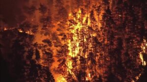 Incêndios florestais provocam ordens de retirada no norte do Japão