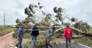 Ciclone extratropical causa falta de energia e queda de árvores no RS
