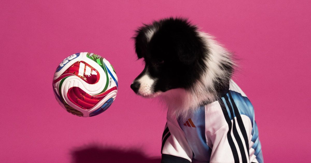 Adidas lança coleção especial de camisas da Copa 2026 para pets