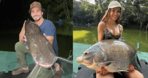 Quem é Felipe Cavalliere, novo affair da cantora Maiara