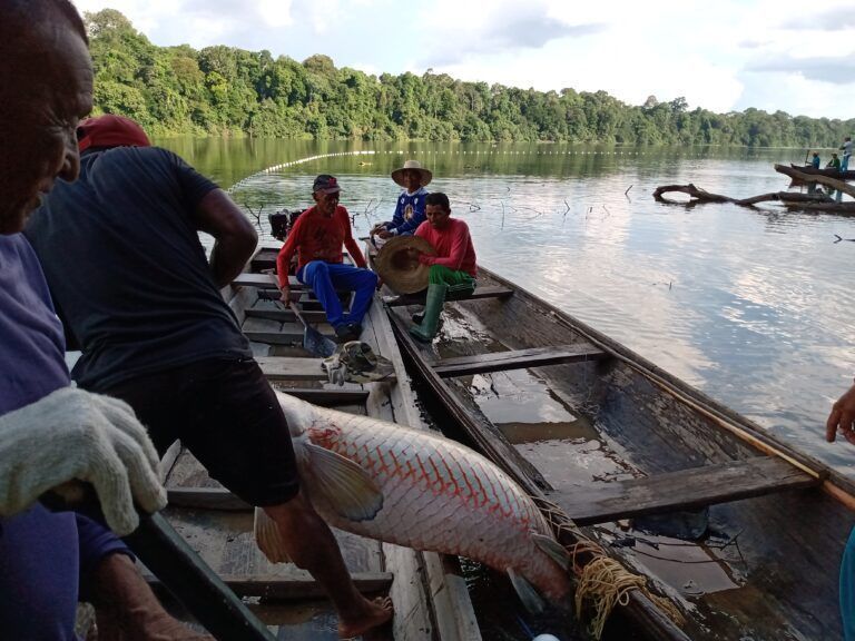 Projetos de carbono estruturados fortalecem bioeconomia na Amazônia