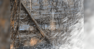 Milhares de peixes desafiam a gravidade para escalar uma cachoeira no Congo