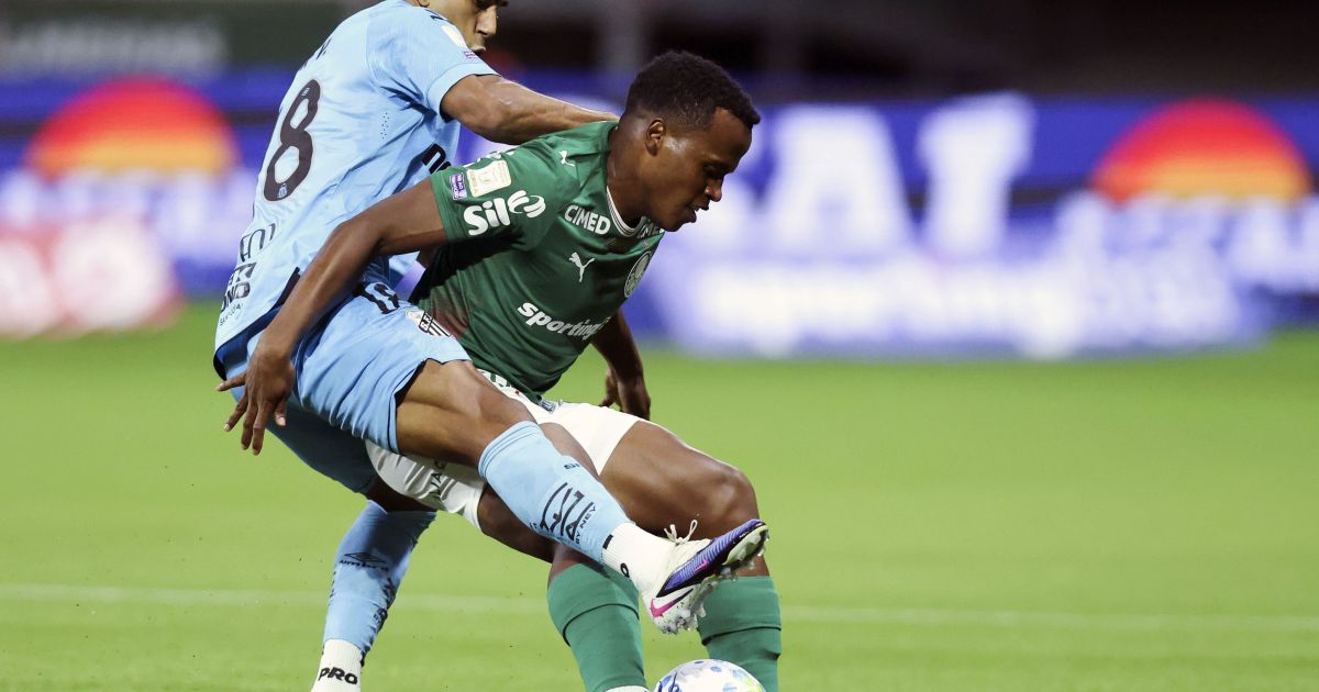 Palmeiras é denunciado no STJD por invasão de campo no Brasileirão