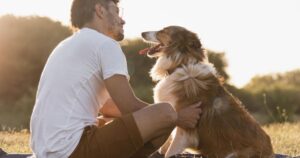 O que acontece no cérebro na relação tutor-cachorro? Ciência estuda
