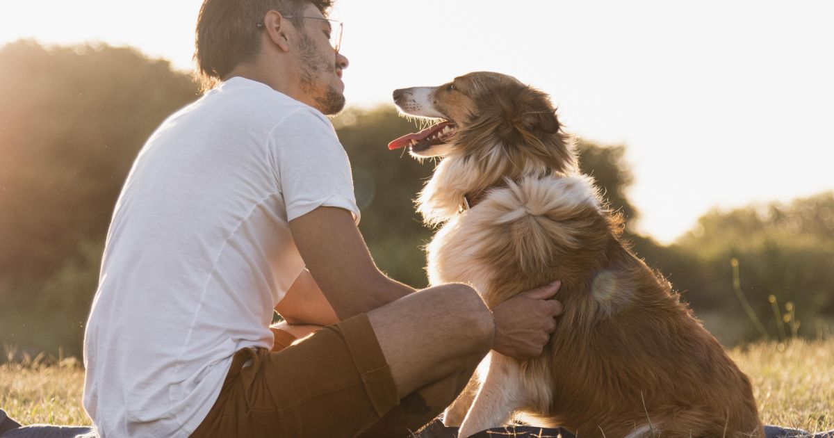 O que acontece no cérebro na relação tutor-cachorro? Ciência estuda