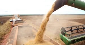 Anec projeta exportação de 15,3 milhões de toneladas de soja em junho