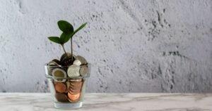 Como a sustentabilidade pode beneficiar os pequenos negócios