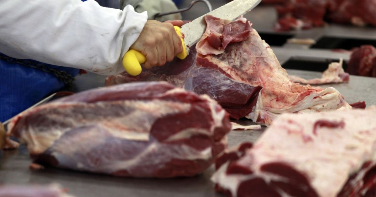 Crise na oferta de gado já impacta as indústrias frigoríficas dos EUA Crise na oferta de gado já impacta as indústrias frigoríficas dos EUA