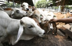 Protocolo de transição ainda está em discussão para exigências da UE