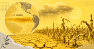 El Niño pode ser o mais forte desde 1950; entenda efeitos no agro