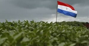 Soja do Paraguai caminha para safra recorde, enquanto clima pressiona milho