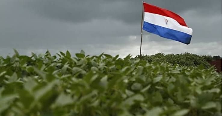 Soja do Paraguai caminha para safra recorde, enquanto clima pressiona milho Soja do Paraguai caminha para safra recorde, enquanto clima pressiona milho