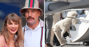 Taylor Swift e Travis Kelce adotaram um novo cachorro? Entenda