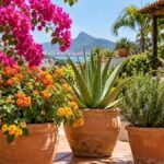 Plantas que gostam de sol forte: 12 opções resistentes